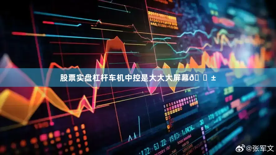 股票实盘杠杆车机中控是大大大屏幕📱