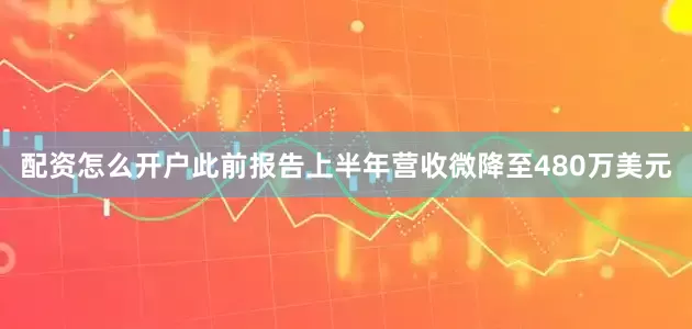 配资怎么开户此前报告上半年营收微降至480万美元